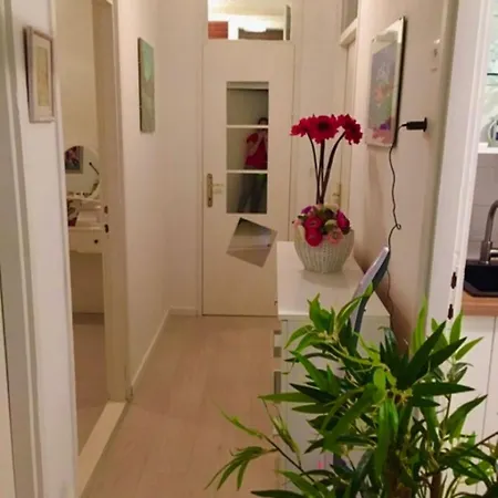 Prázdninový dům House Helena Starigrad Paklenica