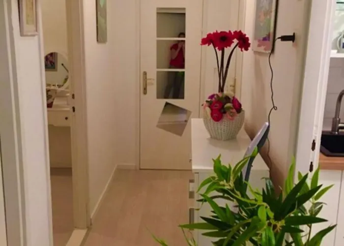 Holiday home House Helena Starigrad Paklenica